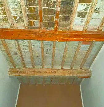 Foto annuncio 13