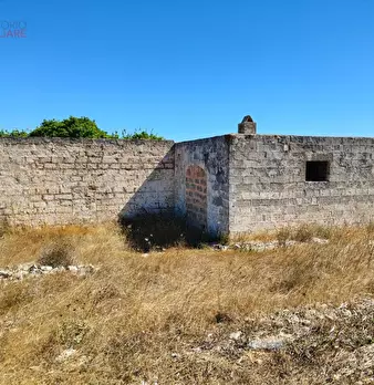 Foto annuncio 7