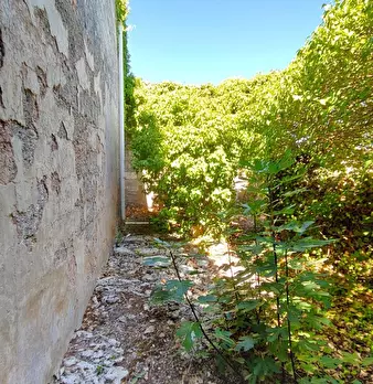Foto annuncio 10