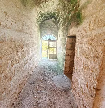 Foto annuncio 17
