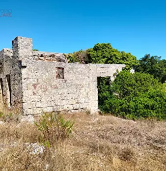 Foto annuncio 14