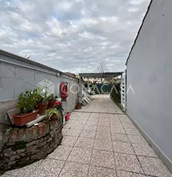 Foto annuncio 29