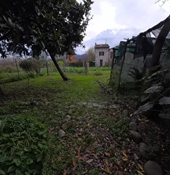 Foto annuncio 14