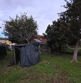 Foto annuncio 16