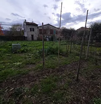 Foto annuncio 17