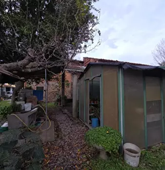 Foto annuncio 15