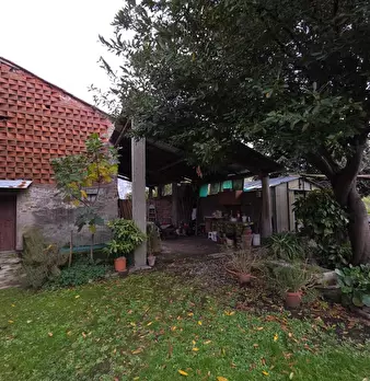 Foto annuncio 12