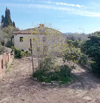 Foto annuncio 16
