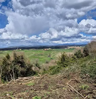 Foto annuncio 17