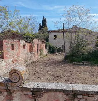 Foto annuncio 22