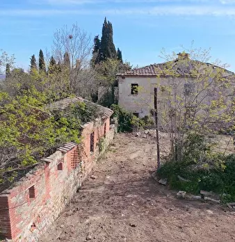 Foto annuncio 13