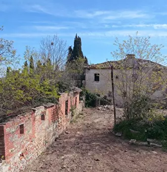 Foto annuncio 12