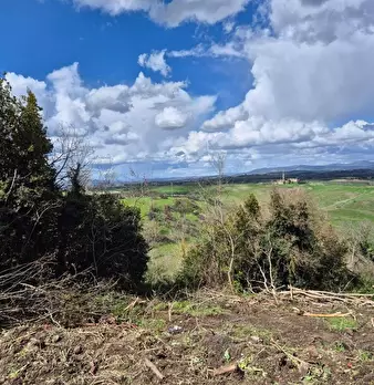 Foto annuncio 21