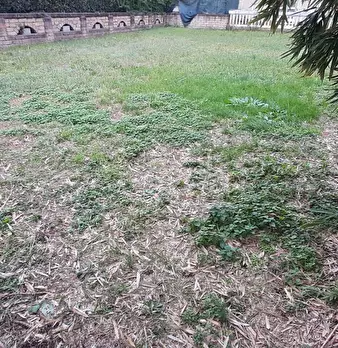 Foto annuncio 33