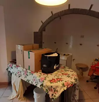 Foto annuncio 36
