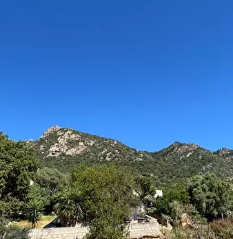 Foto annuncio 33