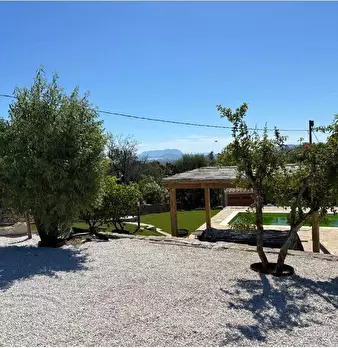 Foto annuncio 31