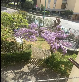 Foto annuncio 7