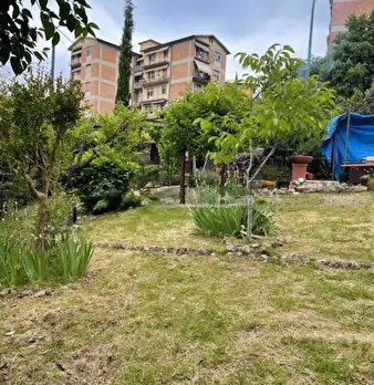 Foto annuncio 6