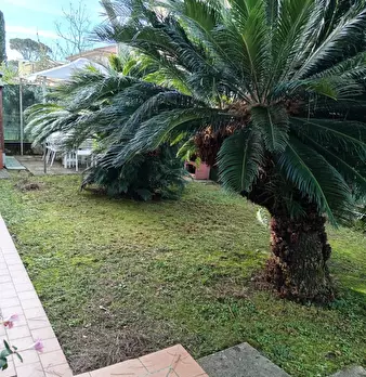Foto annuncio 24