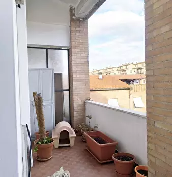Foto annuncio 16