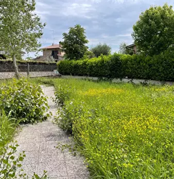 Foto annuncio 1