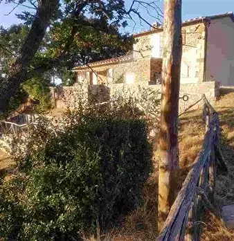 Foto annuncio 10