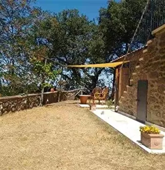 Foto annuncio 11