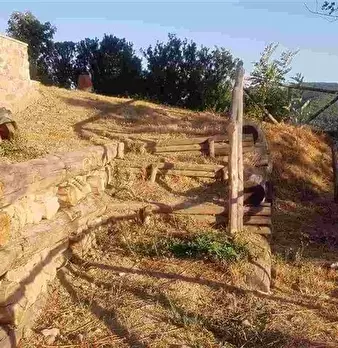 Foto annuncio 23