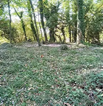 Foto annuncio 39