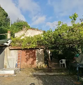 Foto annuncio 33