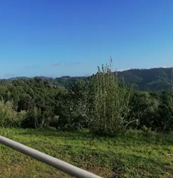 Foto annuncio 30