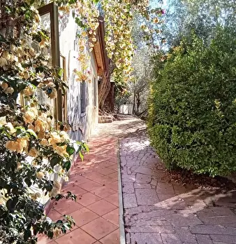 Foto annuncio 5