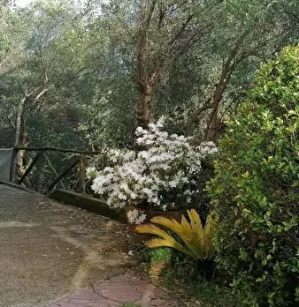 Foto annuncio 27