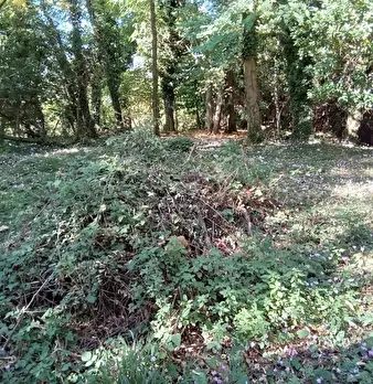 Foto annuncio 38