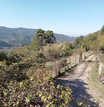 Foto annuncio 26