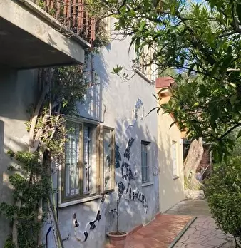 Foto annuncio 29