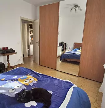 Foto annuncio 50