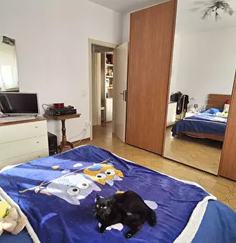 Foto annuncio 51