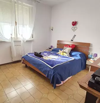 Foto annuncio 47