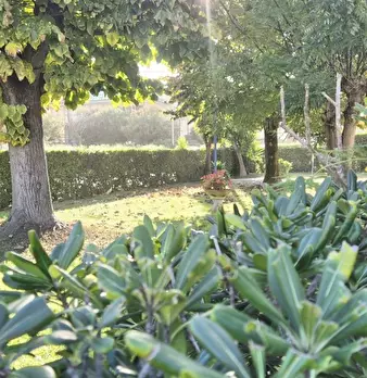 Foto annuncio 63