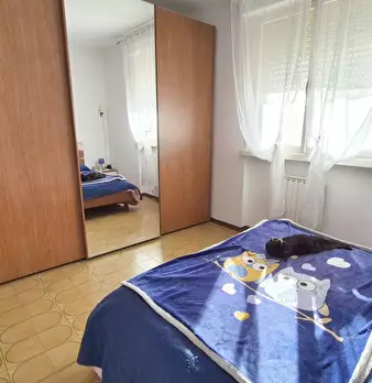 Foto annuncio 48