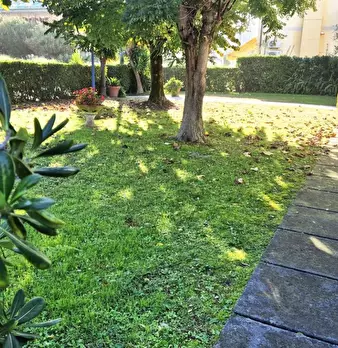 Foto annuncio 67