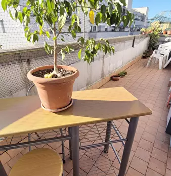 Foto annuncio 58