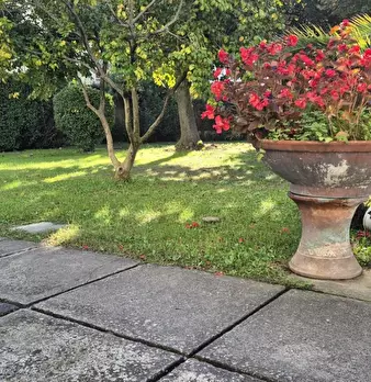Foto annuncio 66