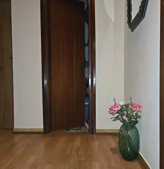 Foto annuncio 13