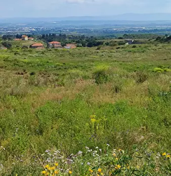 Foto annuncio 7