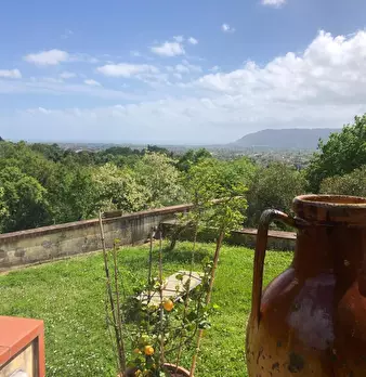 Foto annuncio 6