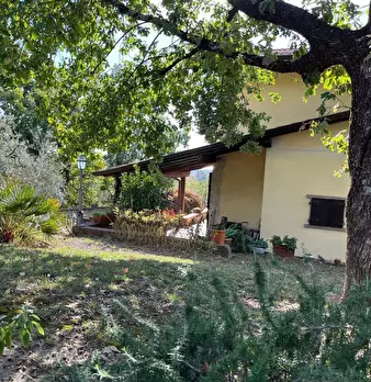 Foto annuncio 29