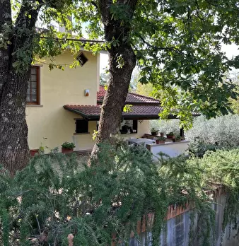 Foto annuncio 28